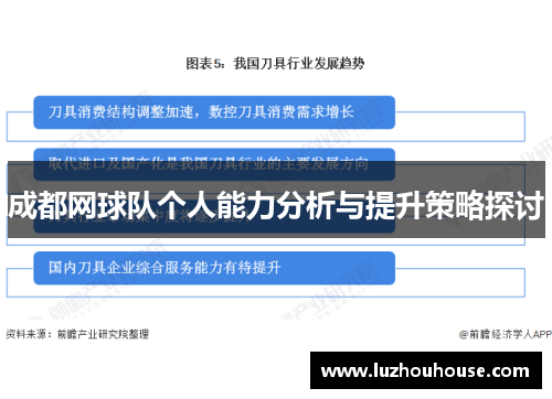 成都网球队个人能力分析与提升策略探讨