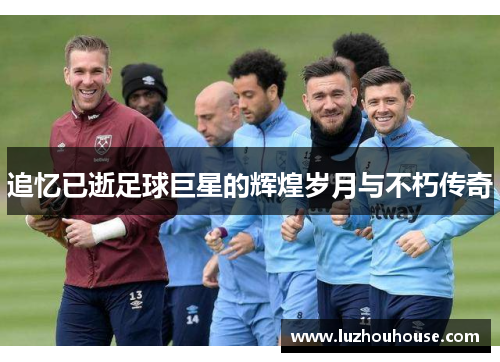 追忆已逝足球巨星的辉煌岁月与不朽传奇