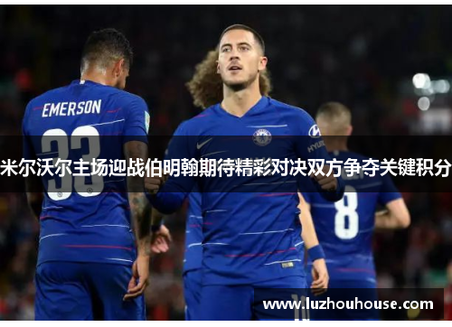 米尔沃尔主场迎战伯明翰期待精彩对决双方争夺关键积分